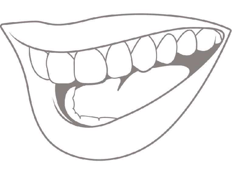 3. Fin del tratamiento