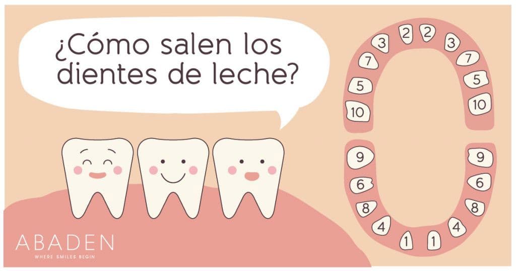 ¿Por qué cambiamos los dientes de leche?