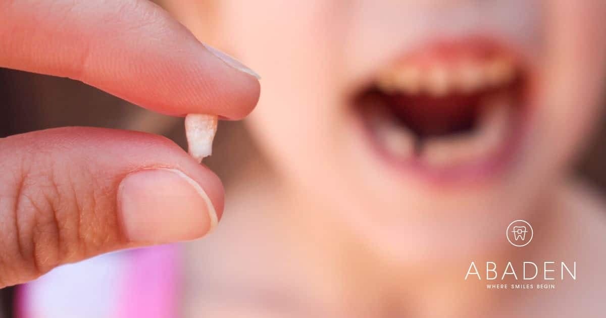 ¿Qué tipos de diente existen?