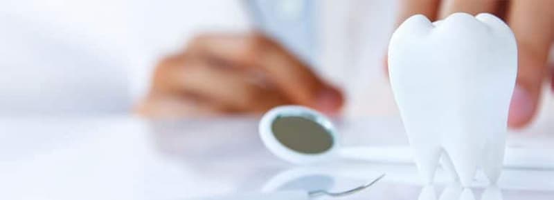 ¿Cómo ha evolucionado la odontología?