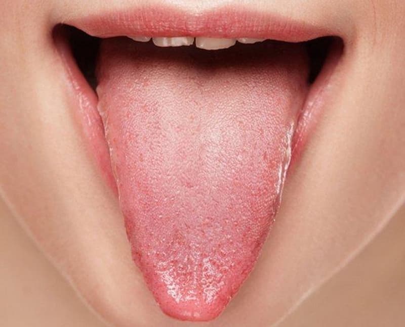 Partes Lengua – ¿En qué partes se divide la lengua?
