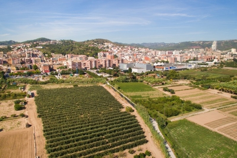 Dentistas en Sant Vicenç dels Horts y cercanías – Comparativa 8 clínicas